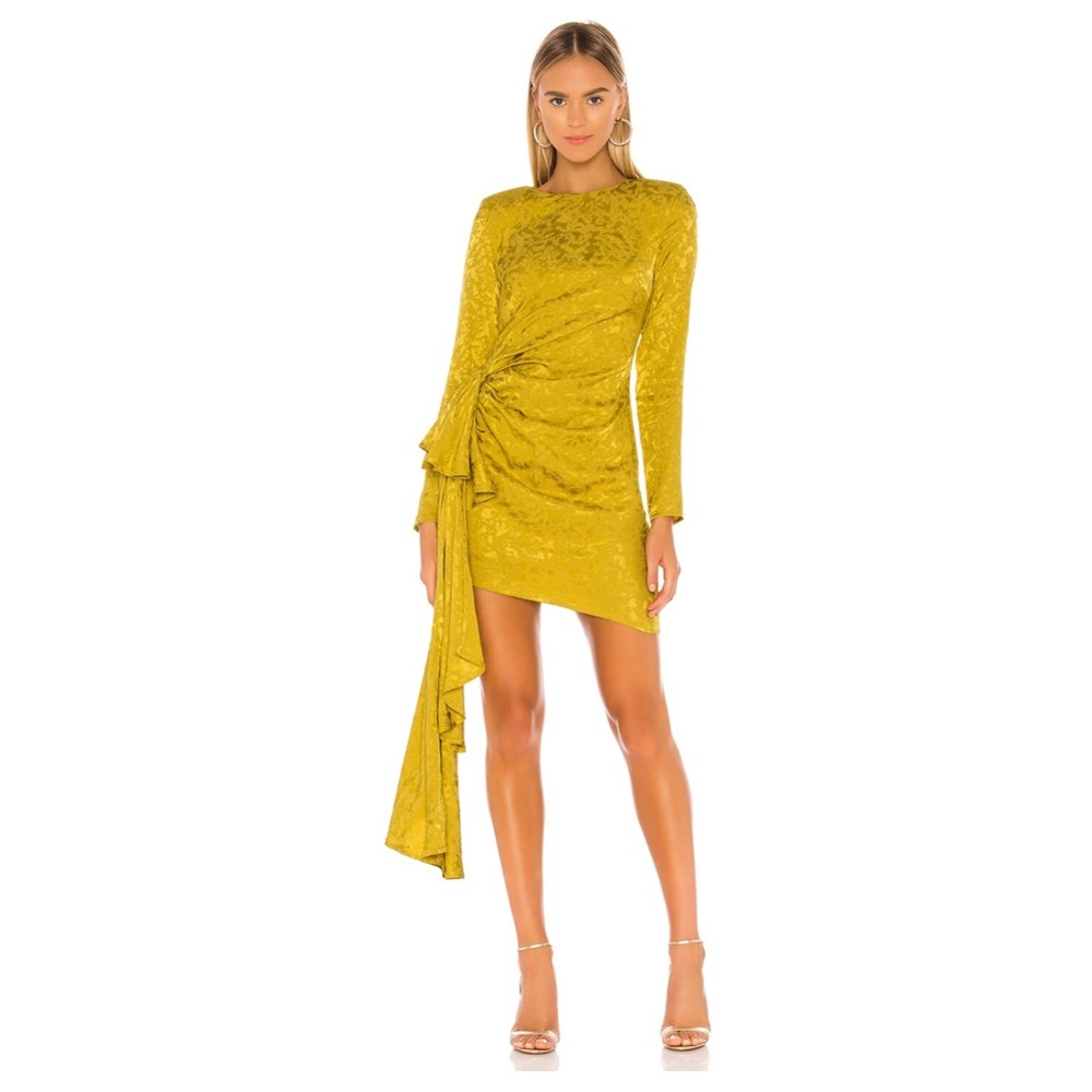 NWT Lovers & Friends Matilda Mini Dress